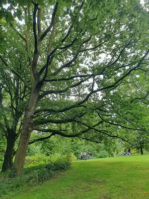 AM WALL Rechtsanwälte in Partnerschaft Lühring Lützen Bönninghaus