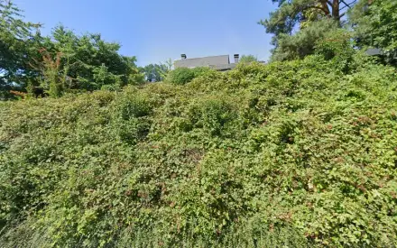 Foto von Bernhard Kraas