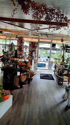 Foto von Blumencenter Chudziak GmbH