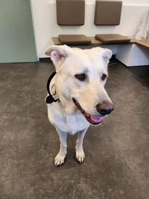 Foto von Dr.med.vet. Volker Janssen Tierarzt