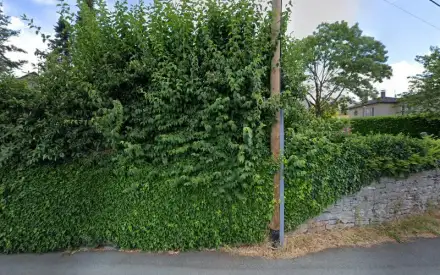 Foto von Friedrich Amelung