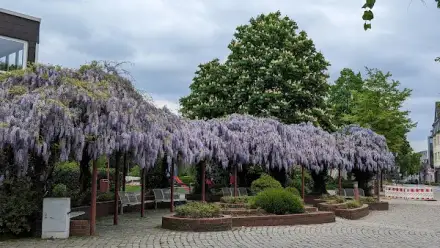Foto von Gevelsberg Mitte