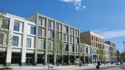 Foto von Notar Dr. Christian Mickisch