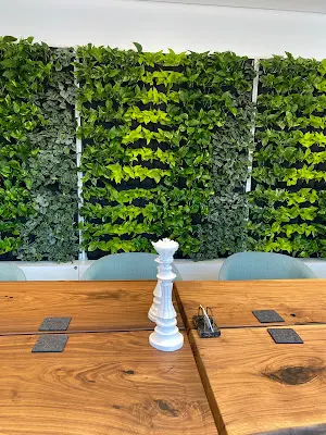 Foto von Notarin Dr. Julia Bochis