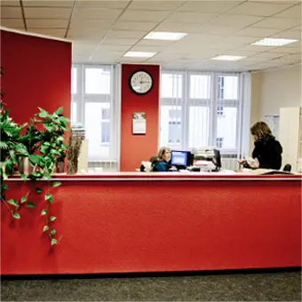 Foto von Rechtsanwältin Alexandra Turan