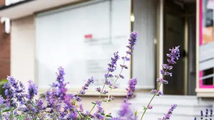 Foto von Rechtsanwalt Michael Thran