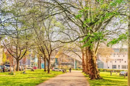 Foto von Schucht & Coll.